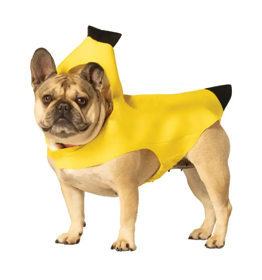 Dog Costumes
