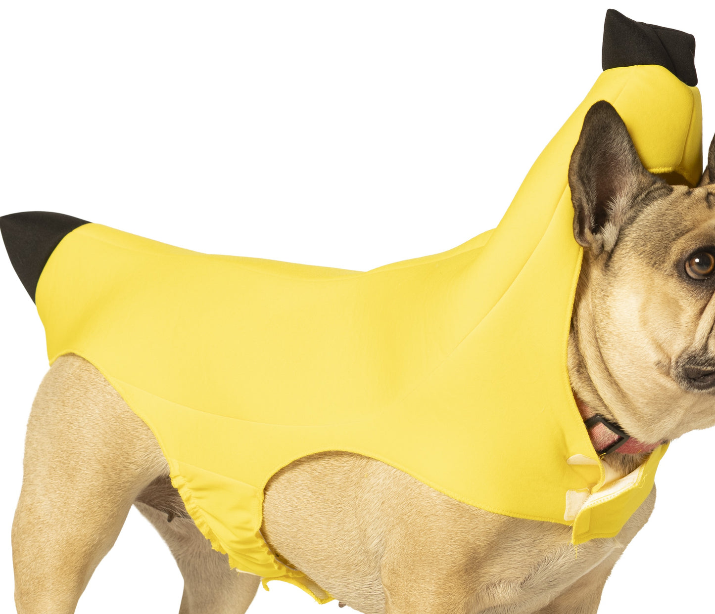 Banana Dog Pet Costume, Various Sizes XS - Medium