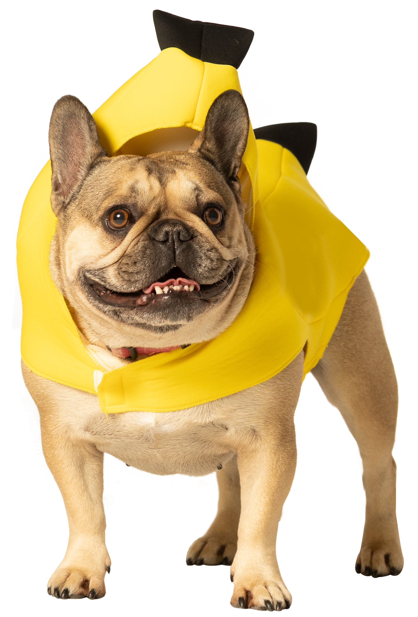 Banana Dog Pet Costume, Various Sizes XS - Medium