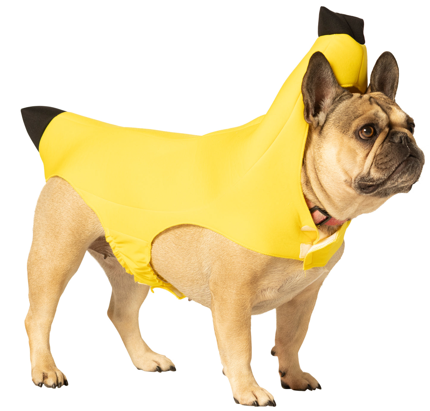 Banana Dog Pet Costume, Various Sizes XS - Medium