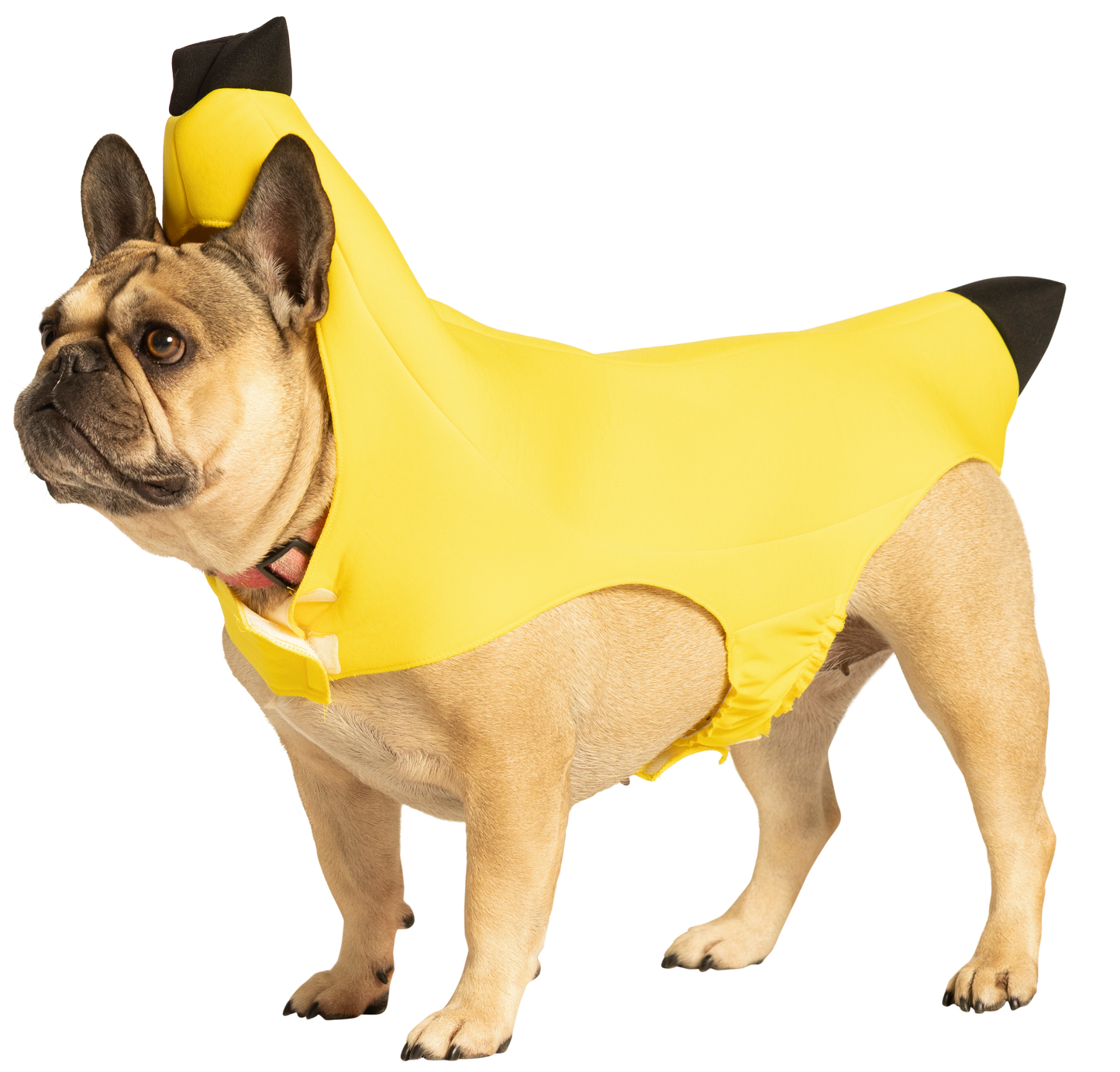 Banana Dog Pet Costume, Various Sizes XS - Medium
